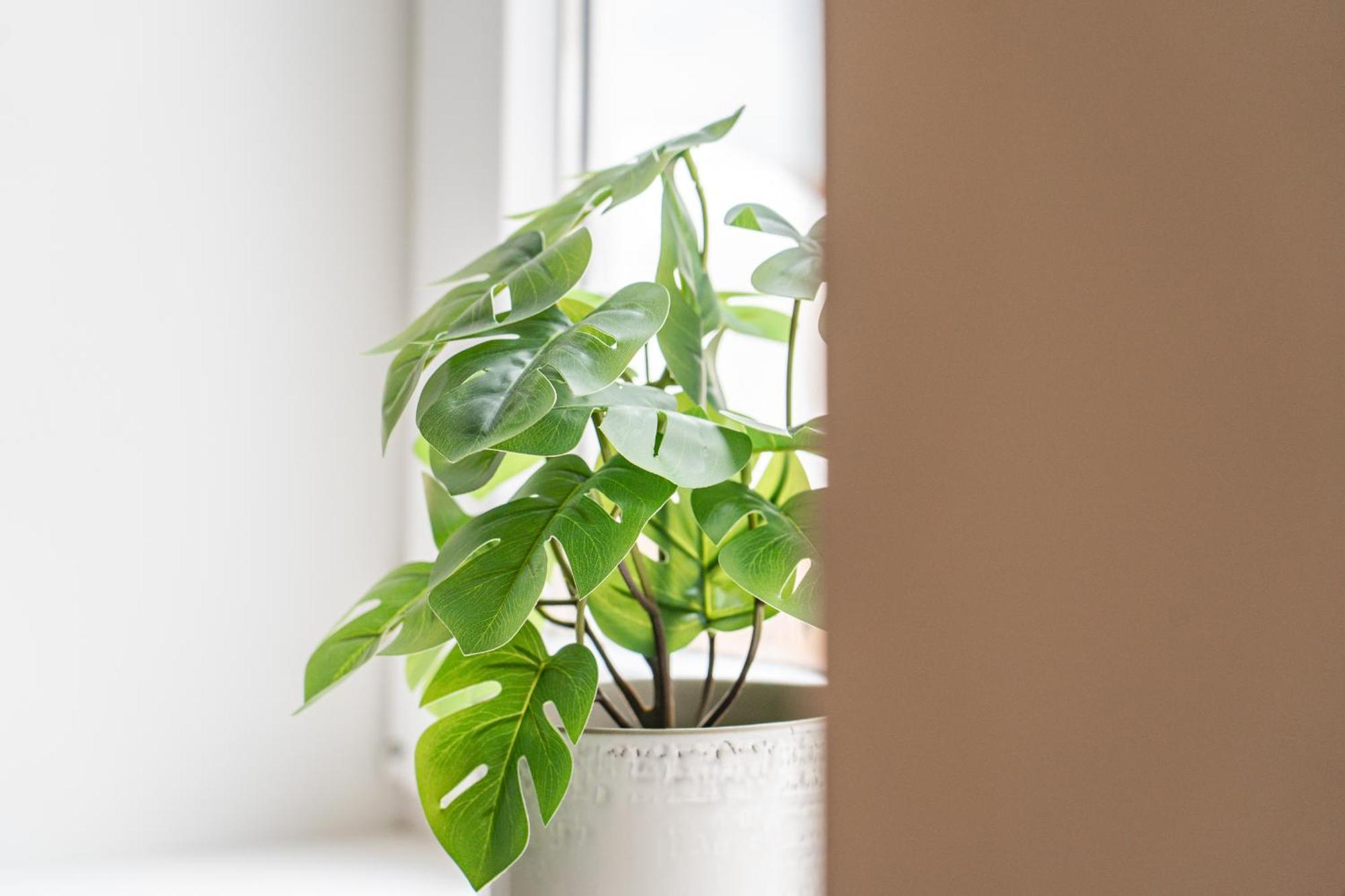 Beato Riverside Cozy Apartments Lisboa Ngoại thất bức ảnh